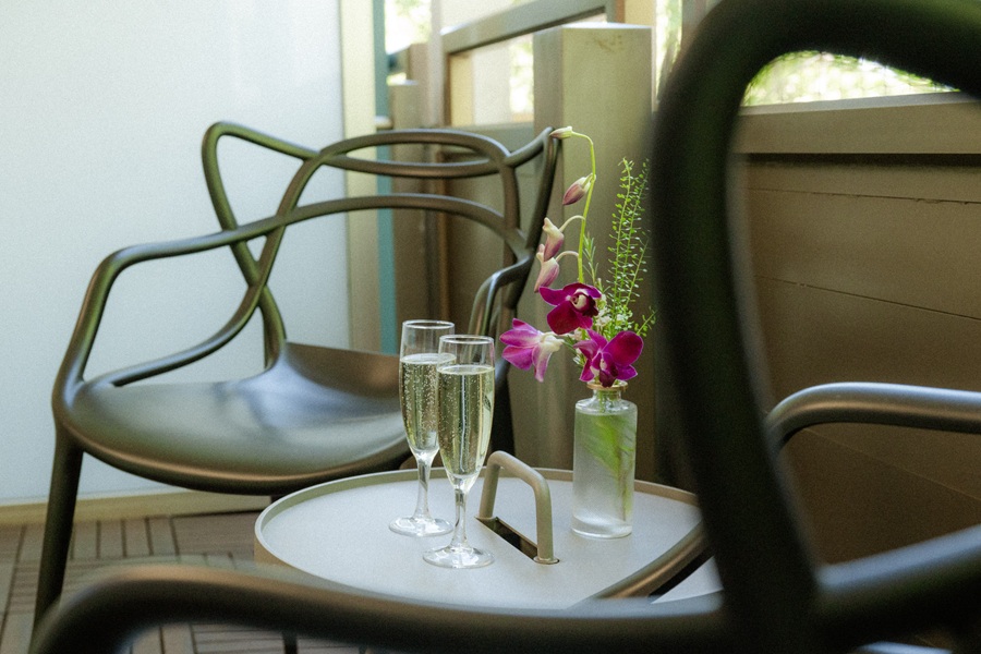 Room balcony at Hotel Capricorno Vienna